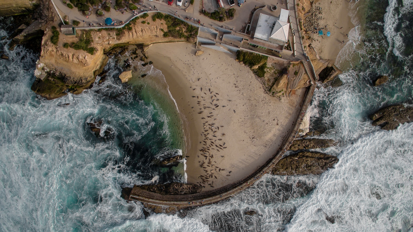 aerial photo of beach